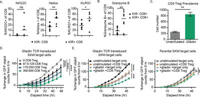 Preclinical characterization of MTX-101: a novel bispecific CD8 Treg modulator that restores CD8 Treg functions to suppress pathogenic T cells in autoimmune diseases